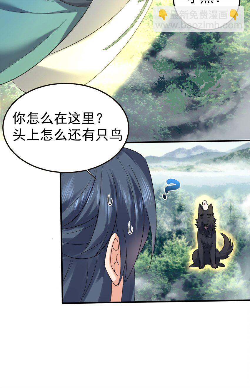 099 龙？凤？3