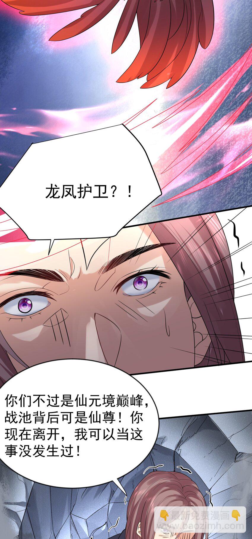 111 龙凤护卫25