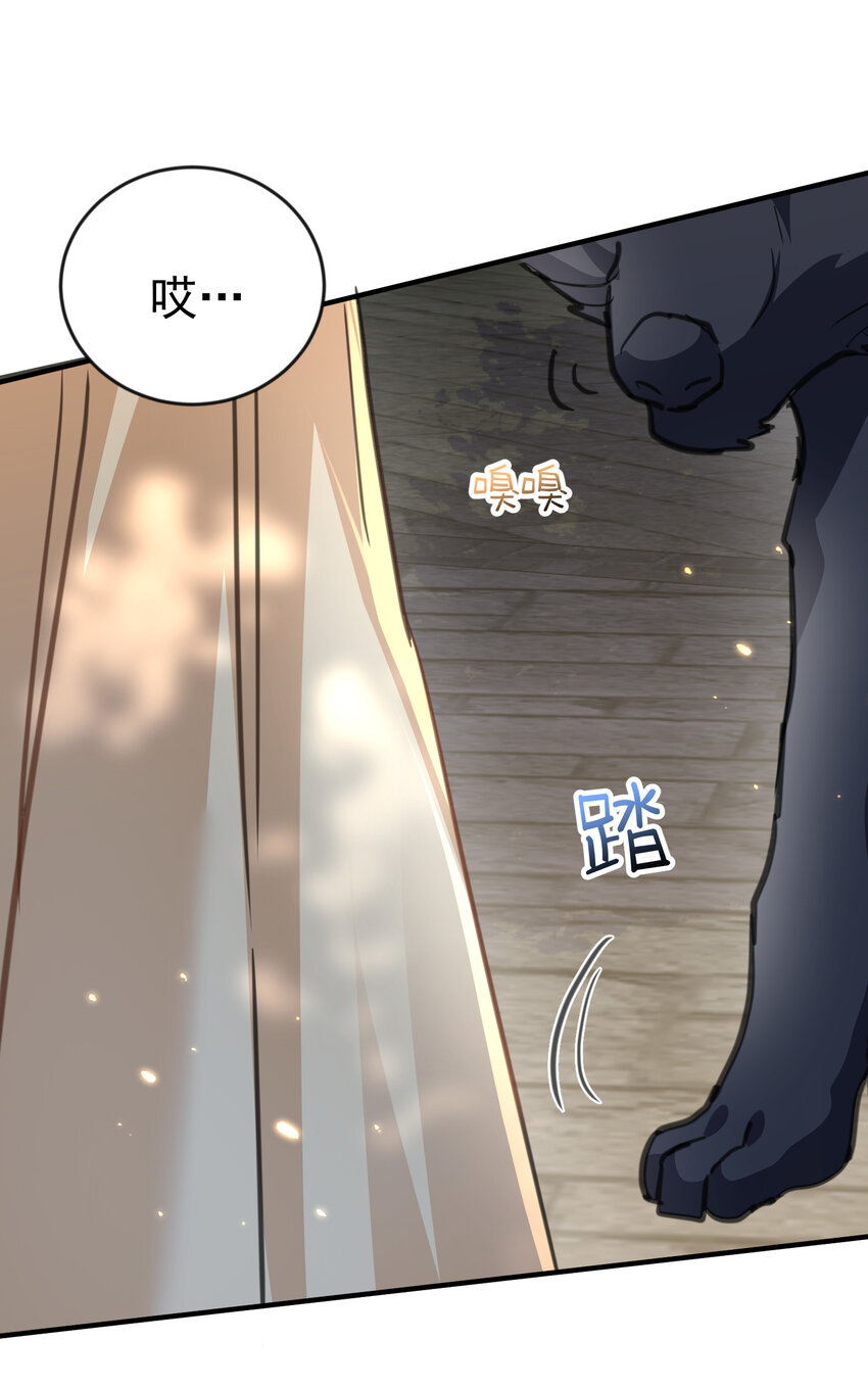 211 双修？那是什么？8