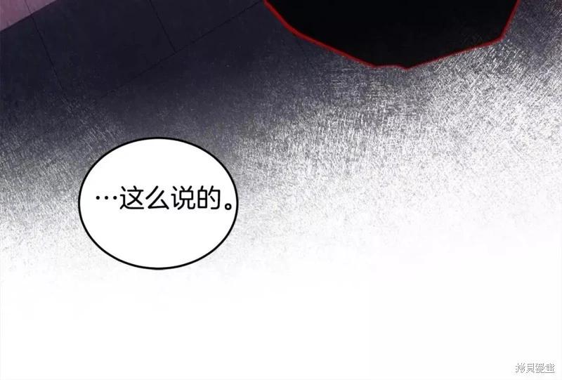 第111话206
