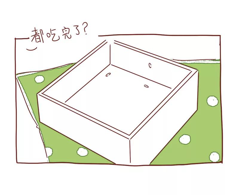 爱心便当7