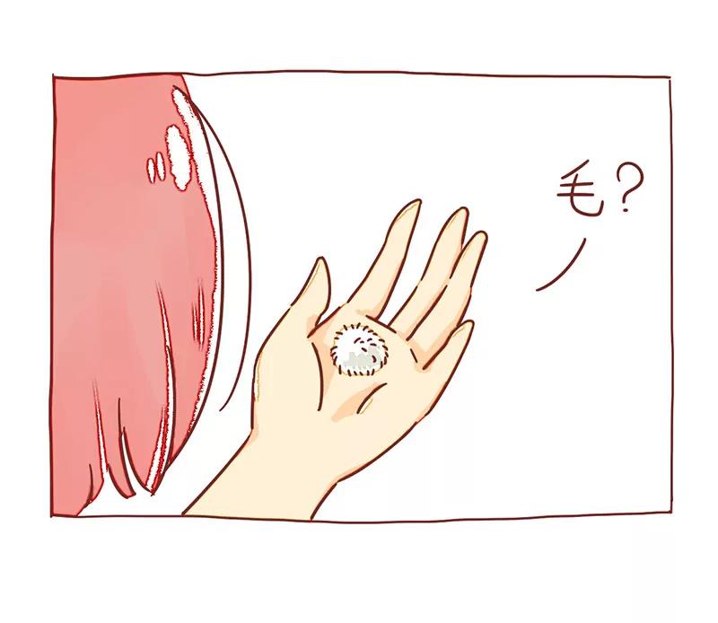 柳絮飞扬5