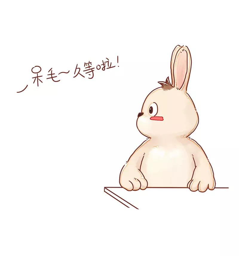 呆毛兔喝茶5