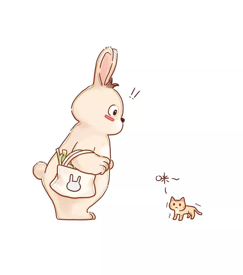 呆毛兔喂猫3
