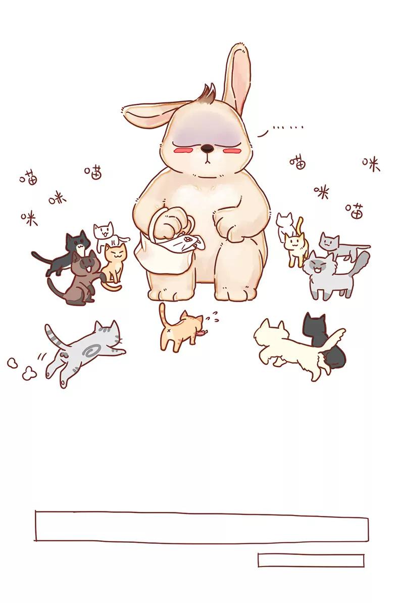 呆毛兔喂猫8