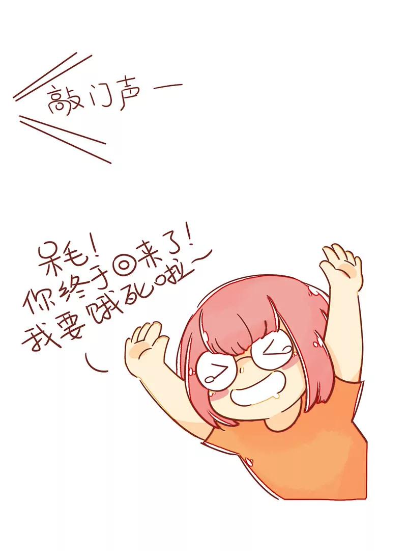 呆毛兔喂猫9