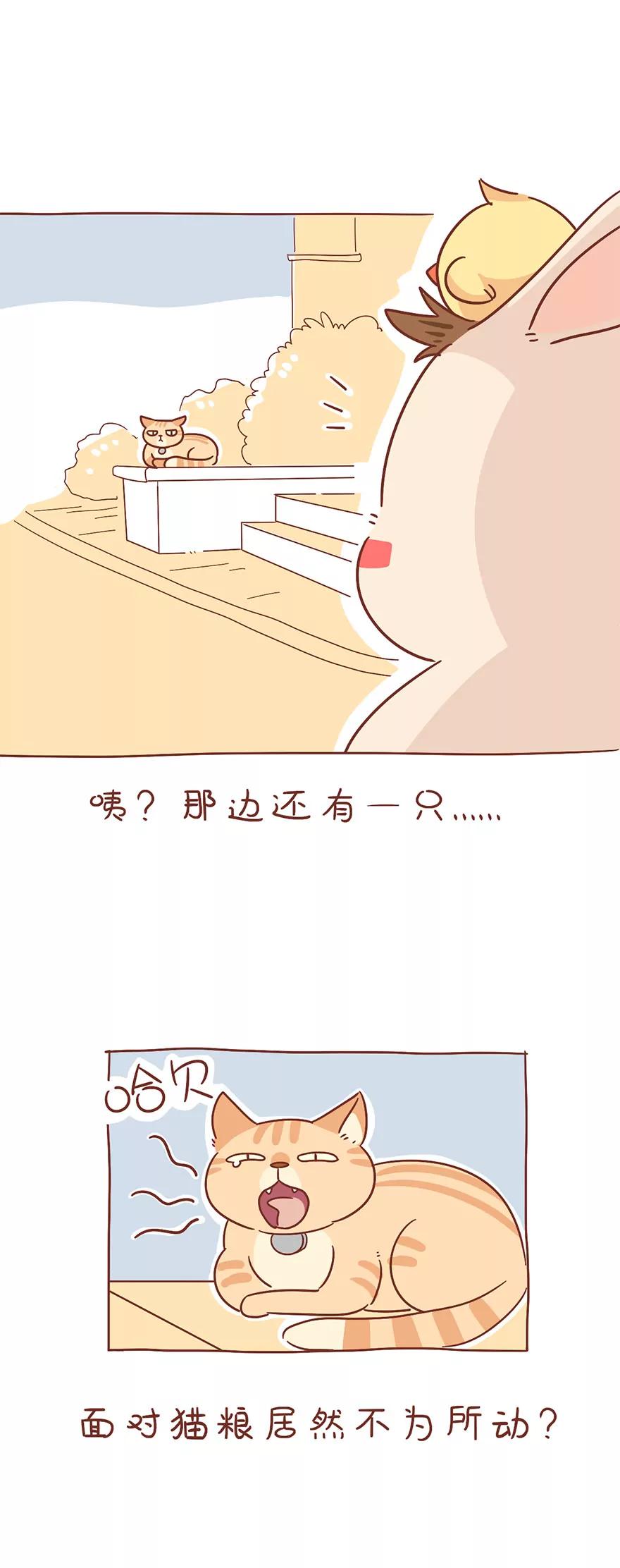 王者的高傲6