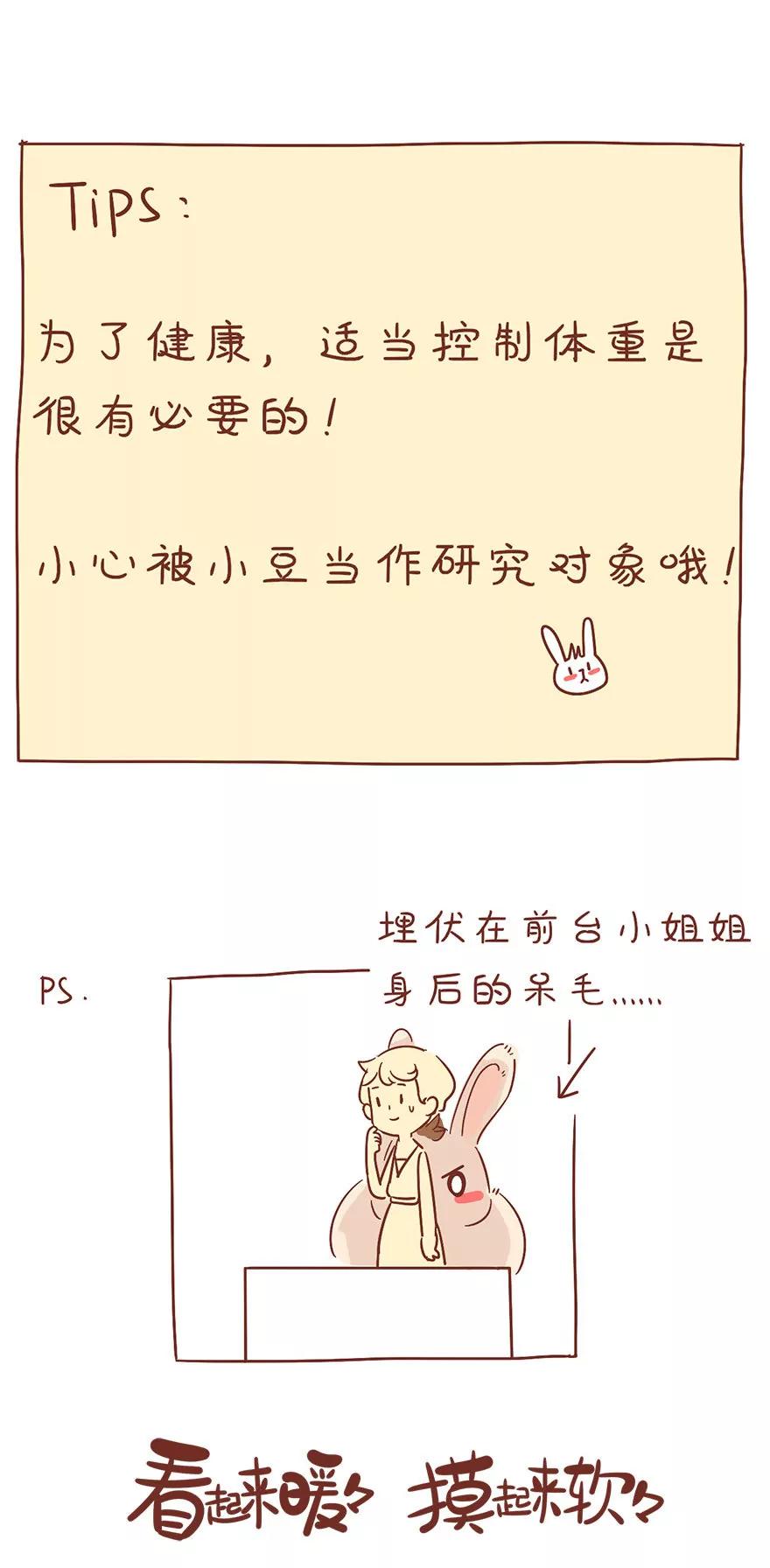 体形13