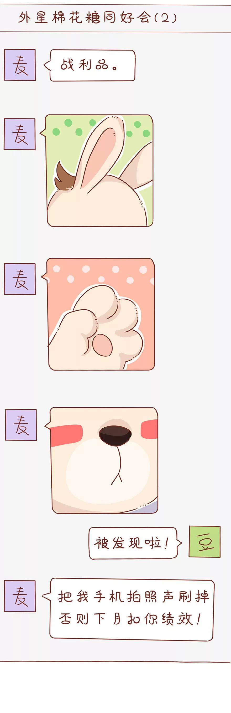 咔嚓11