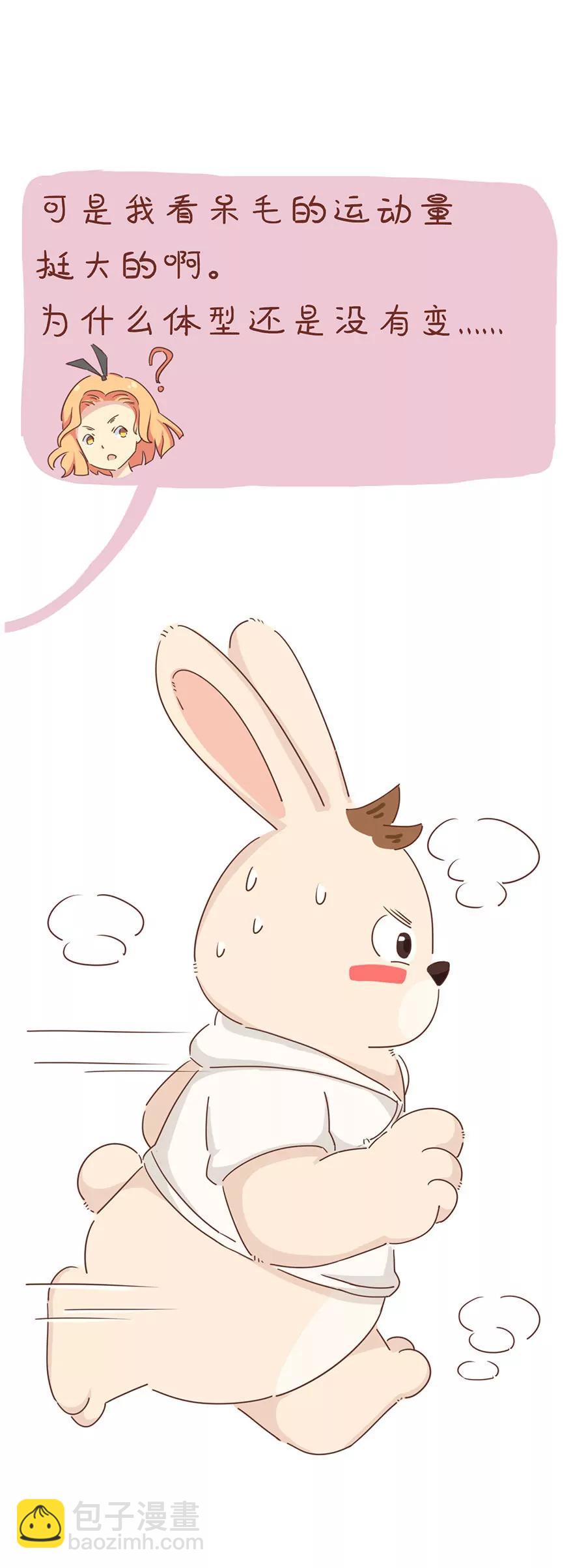 为什么还胖4