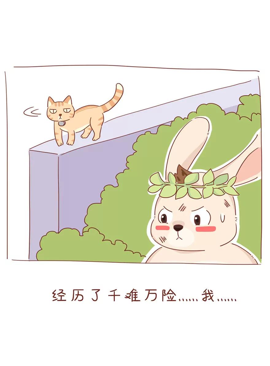 薛定谔的主人10