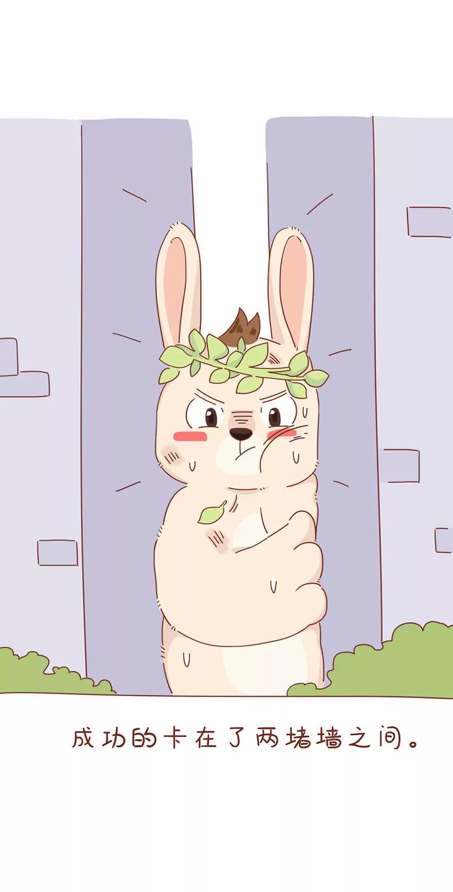 薛定谔的主人11