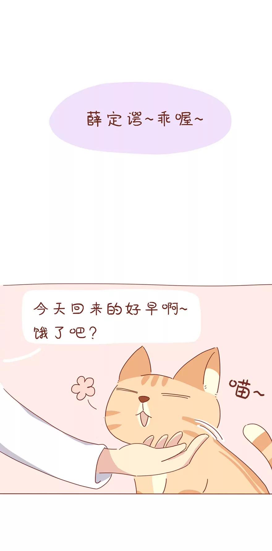薛定谔的主人12