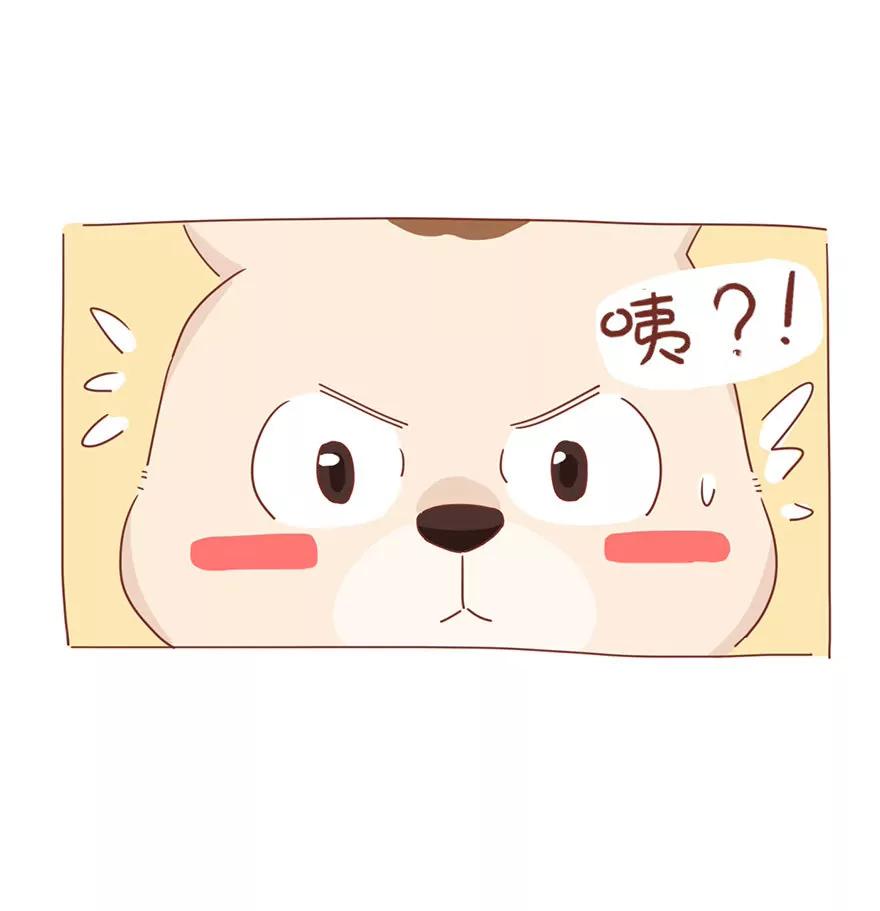 薛定谔的主人14