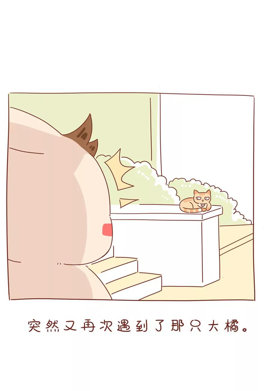 薛定谔的主人2