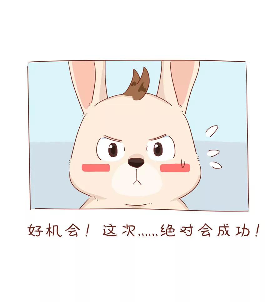 薛定谔的主人3