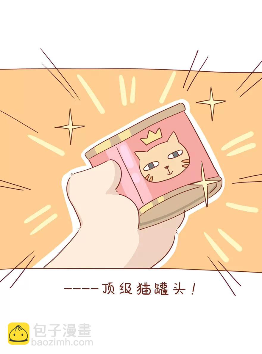 薛定谔的主人4