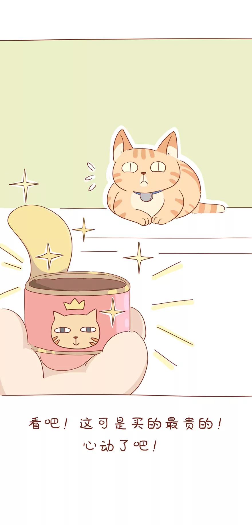 薛定谔的主人5