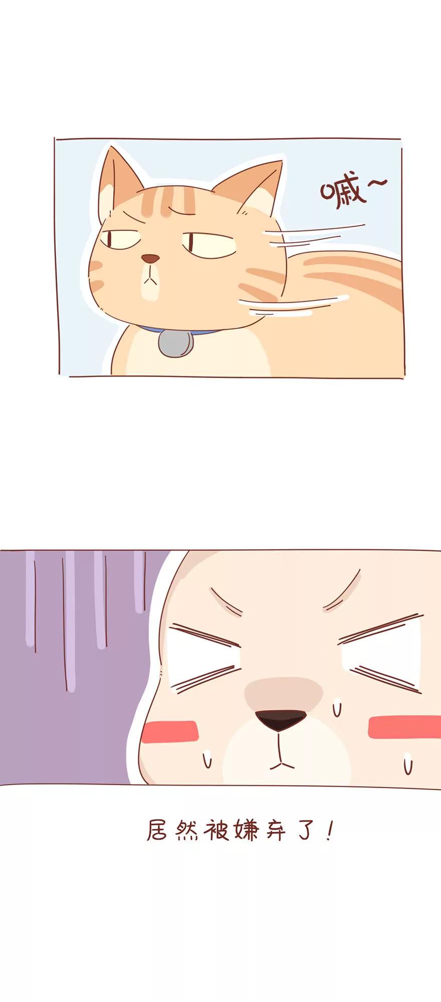 薛定谔的主人6