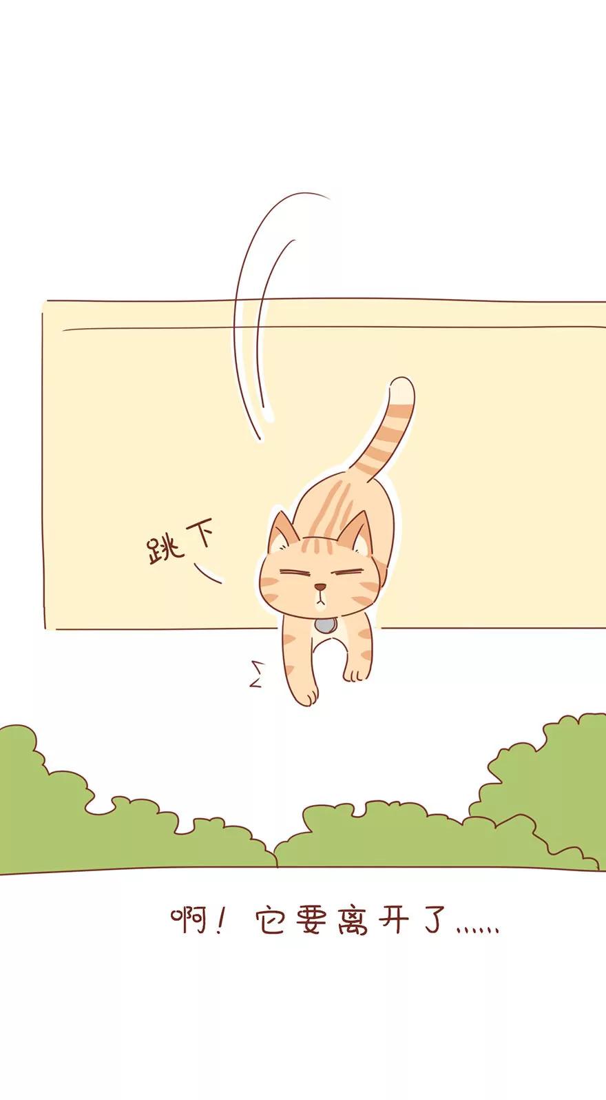 薛定谔的主人7