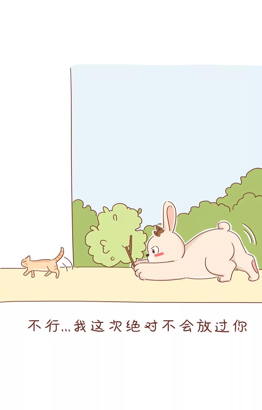 薛定谔的主人8