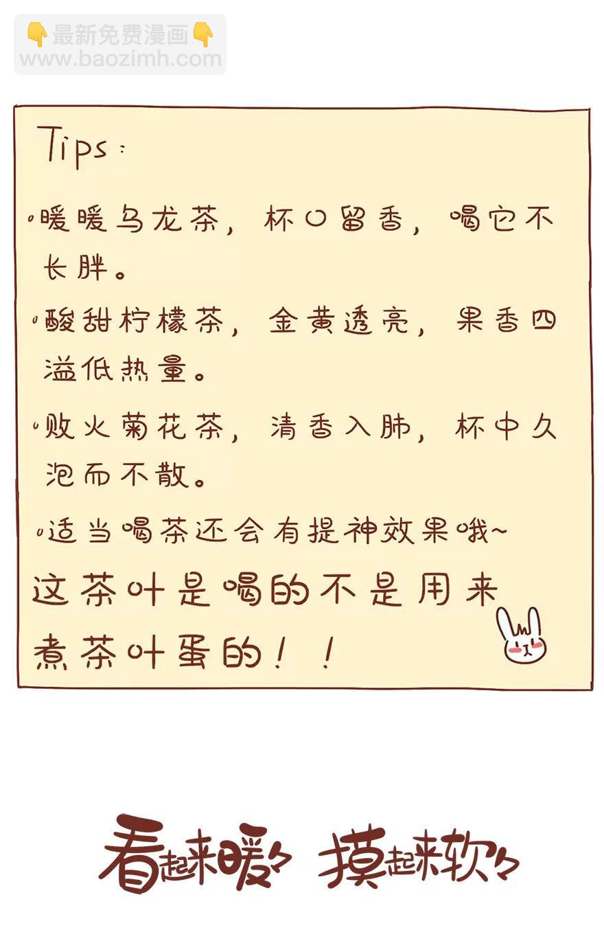 茶叶13