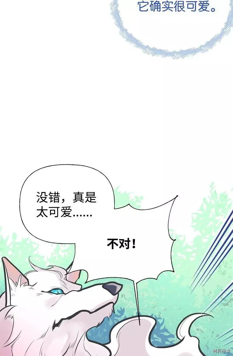 第51话41