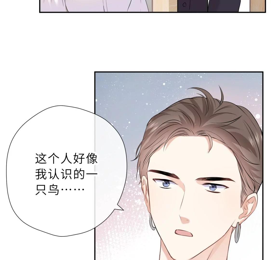 这个情敌有点强39