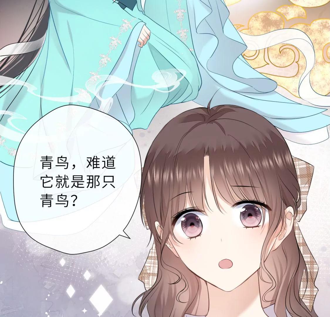 这个情敌有点强44