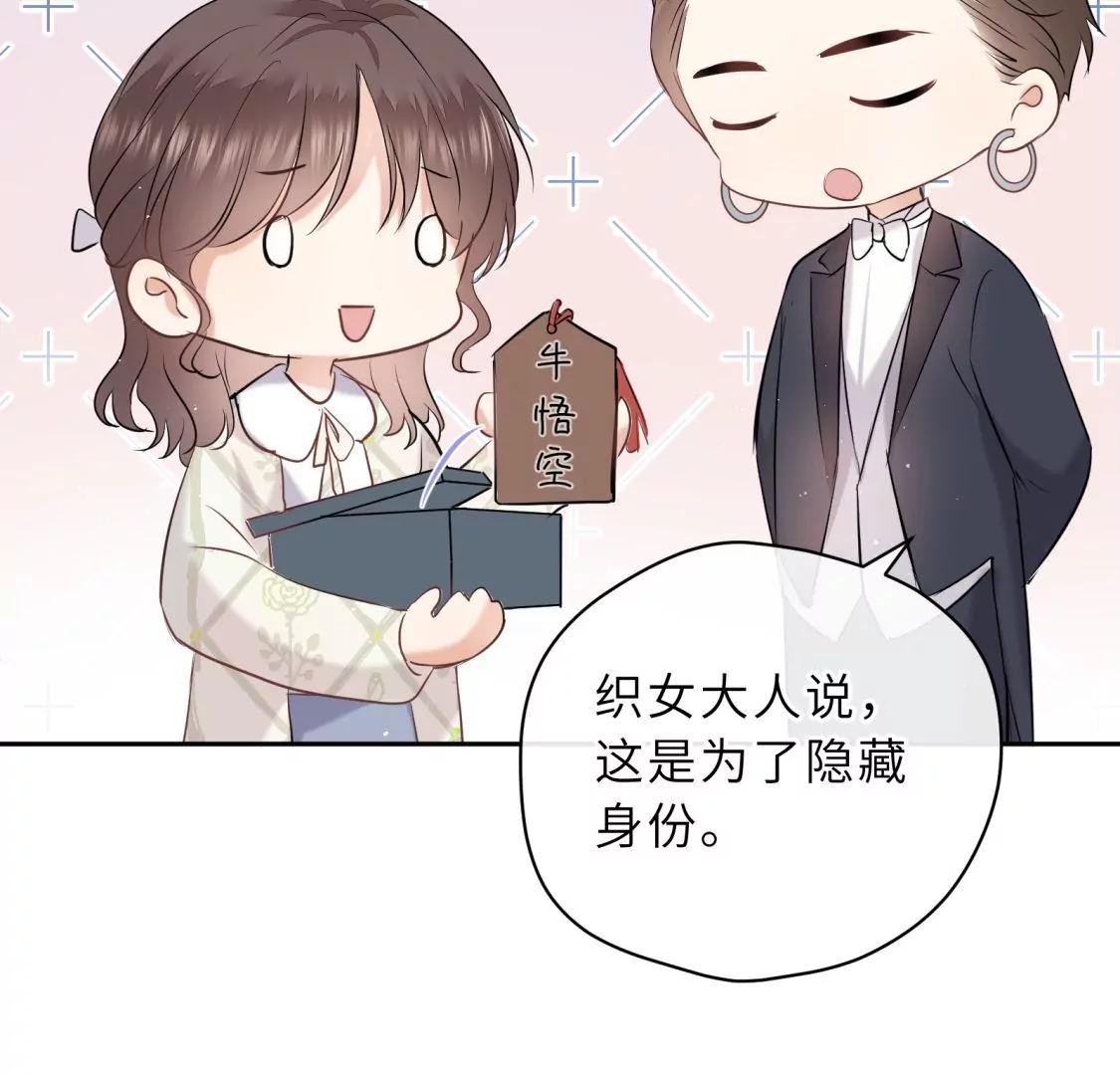 他的秘密28