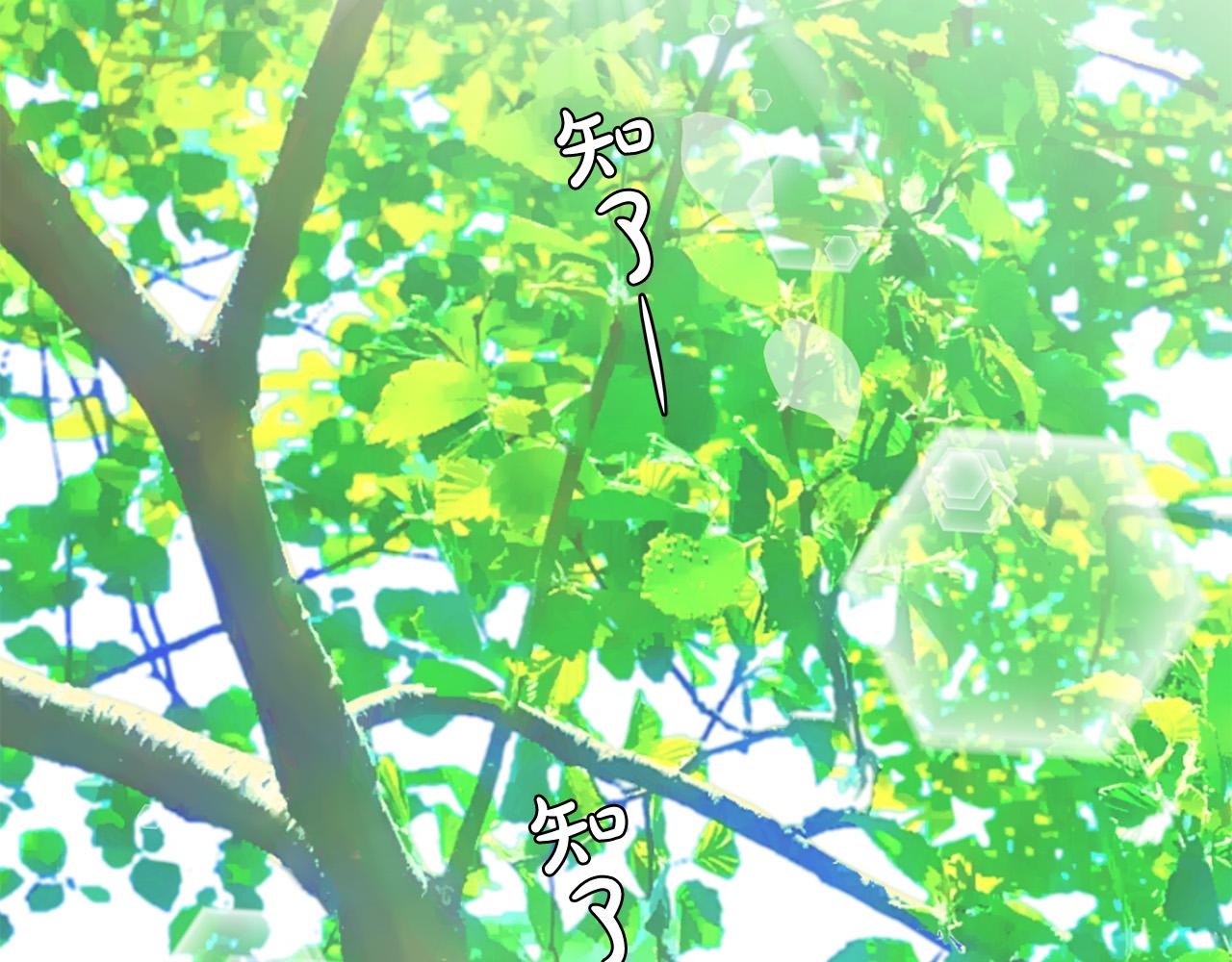第63话 共创美妆品牌66