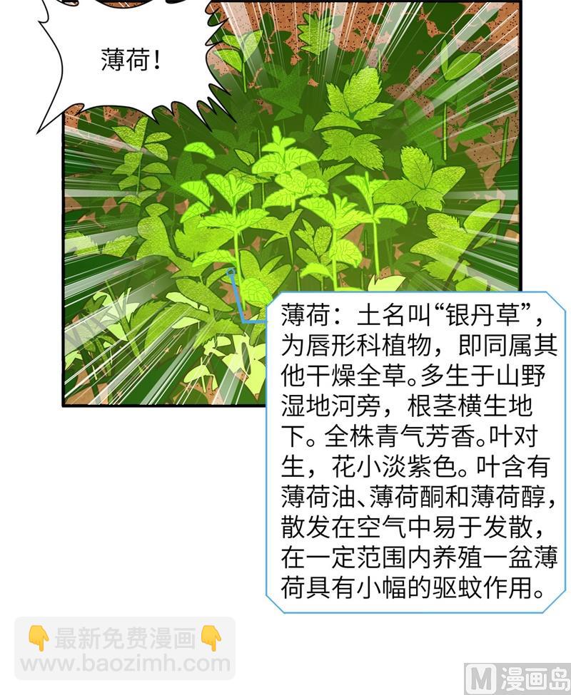 009 椰子蟹10