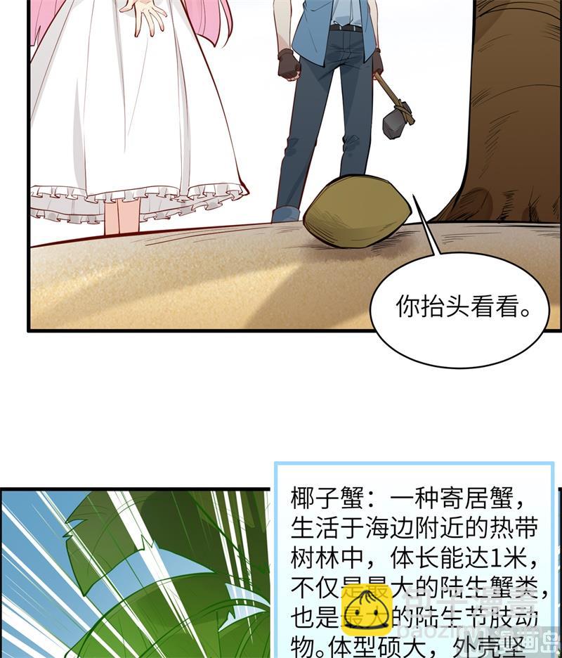 009 椰子蟹31