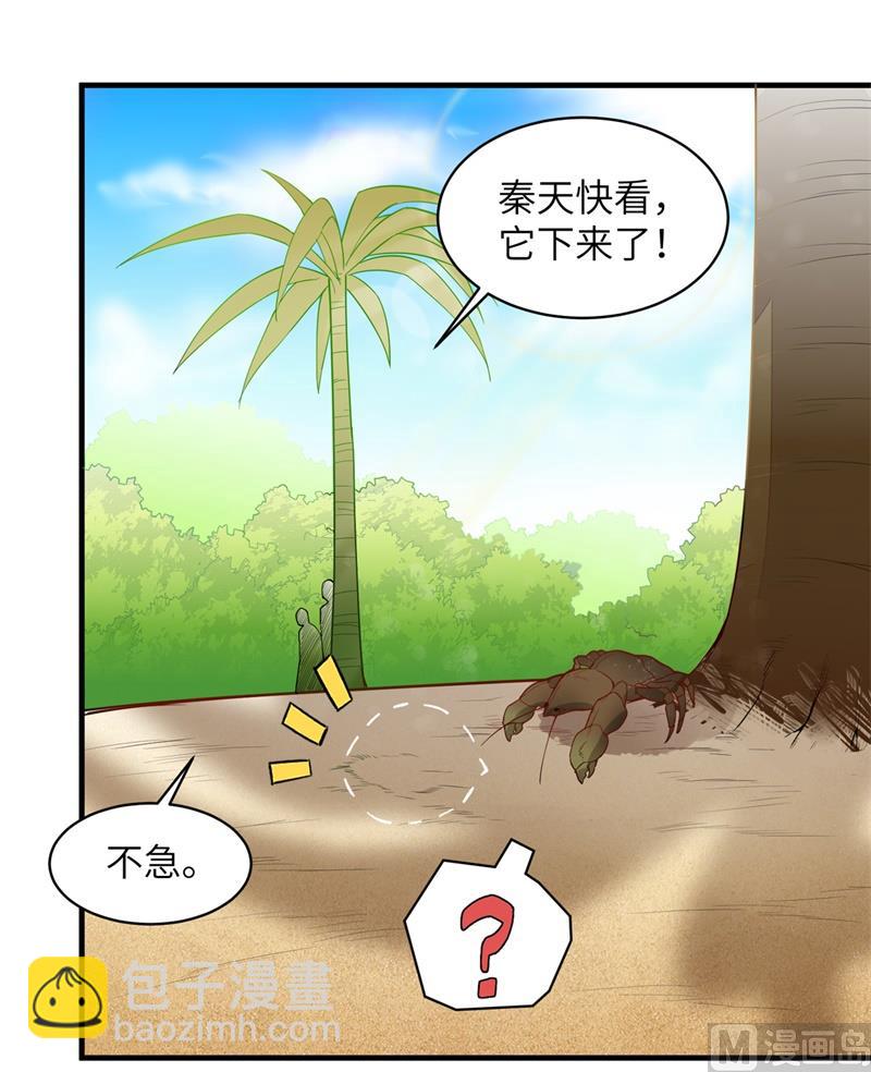 009 椰子蟹35