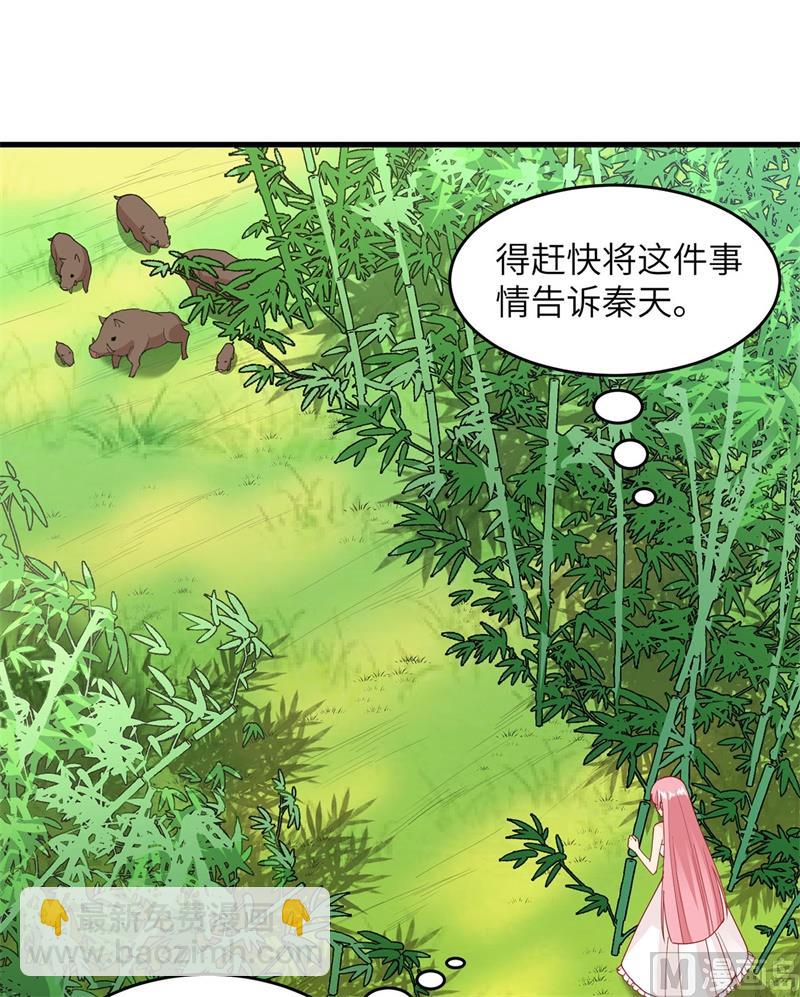 018 遭遇野猪27