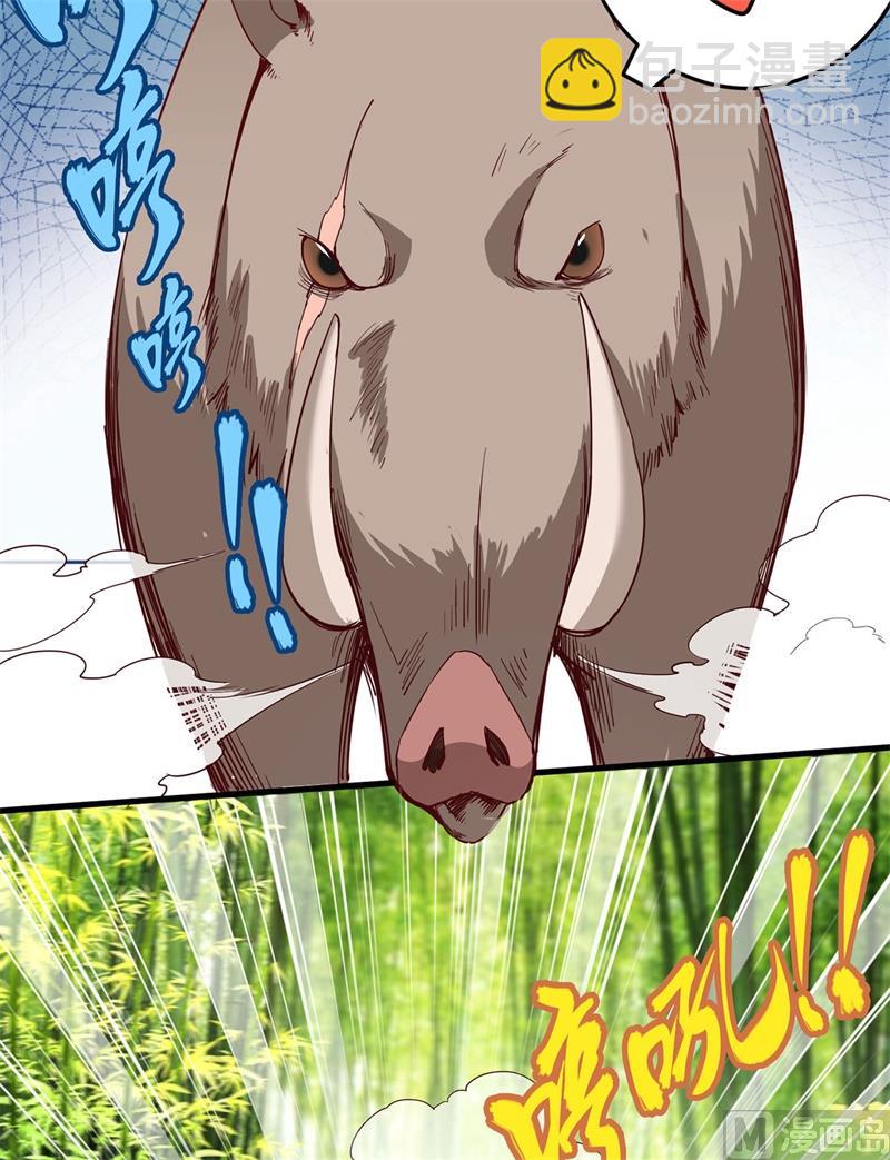 018 遭遇野猪41