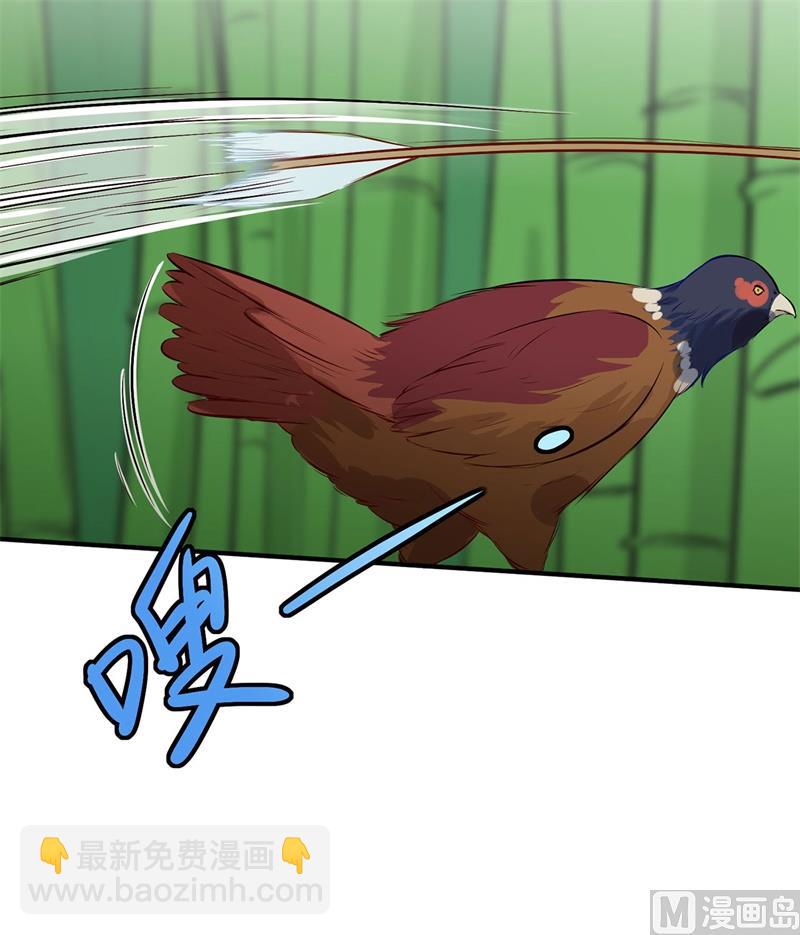 026 鸡界傻狍子35