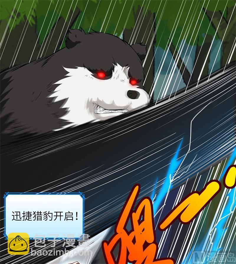 028 熊猫！熊猫！41