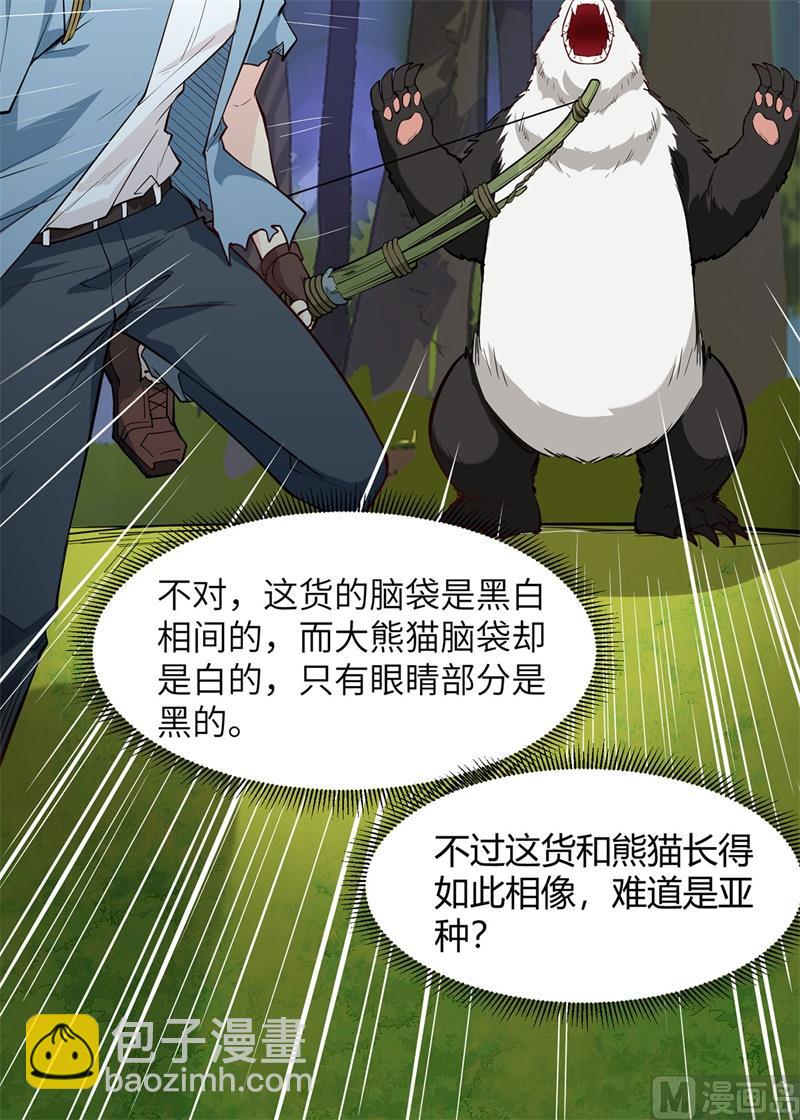 028 熊猫！熊猫！53