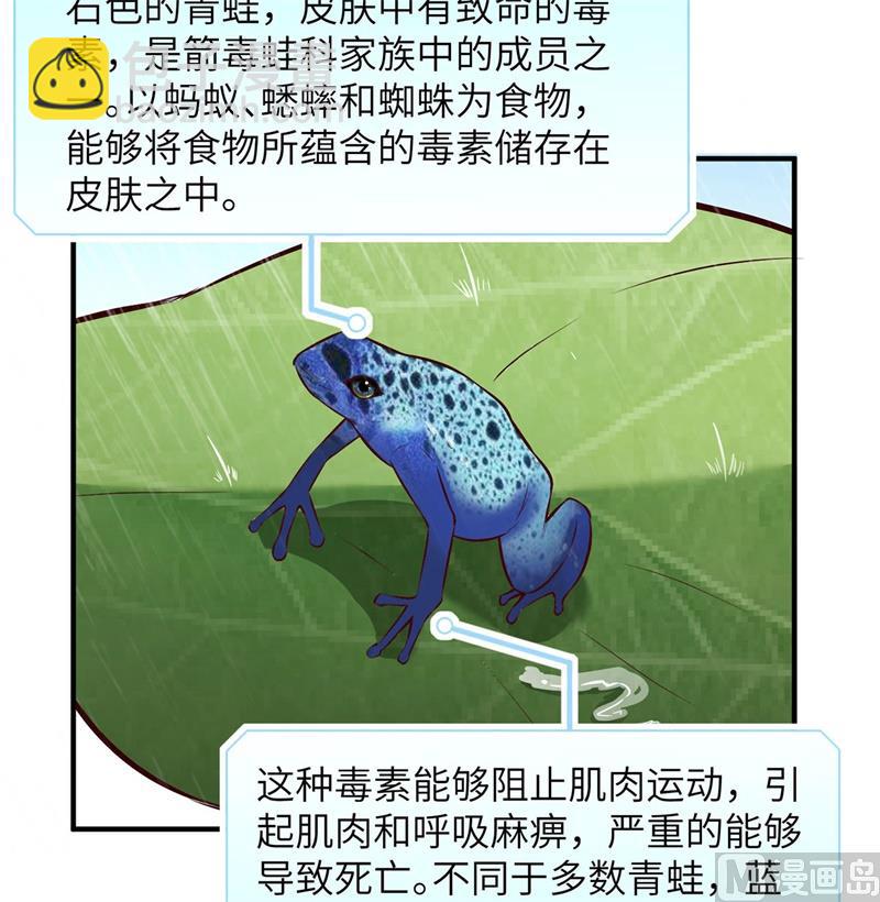 031 游击战术54