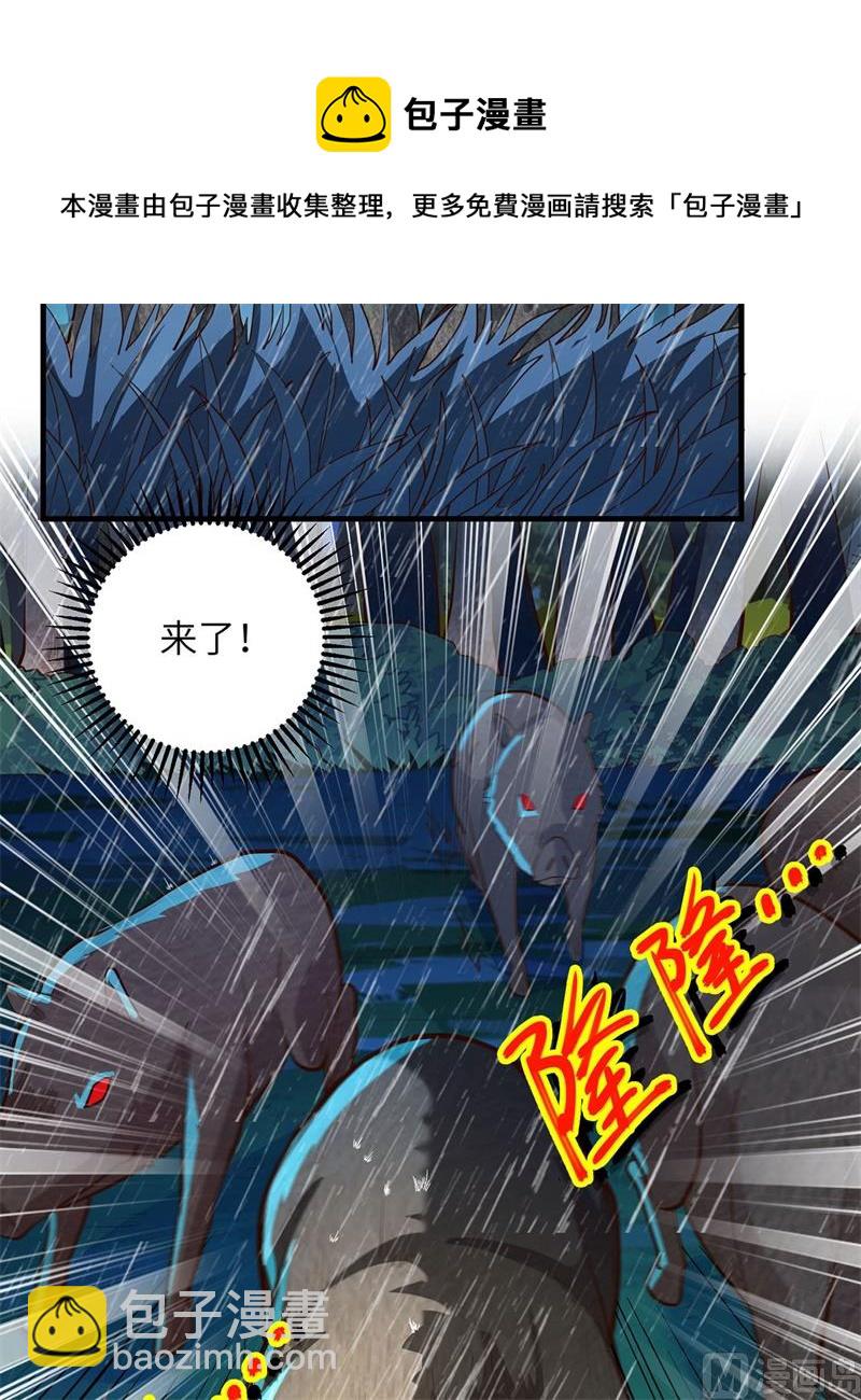 040 熊猪斗17