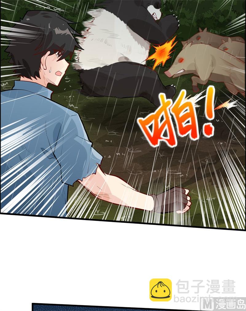 040 熊猪斗25