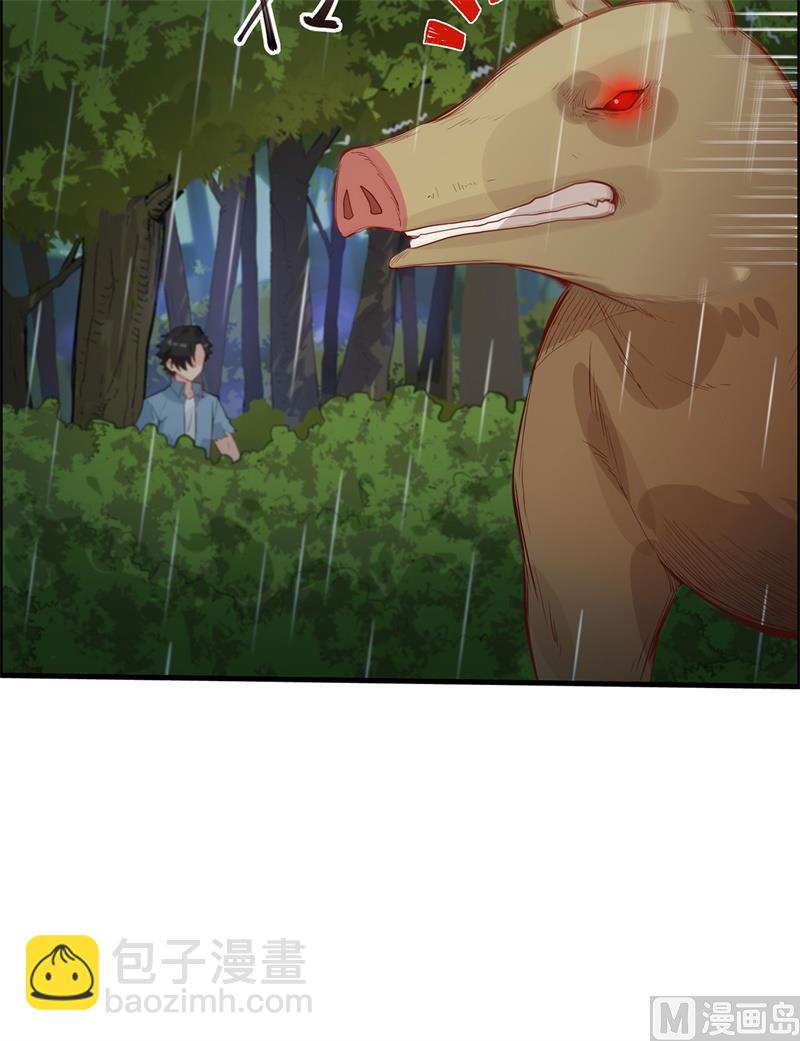 040 熊猪斗44