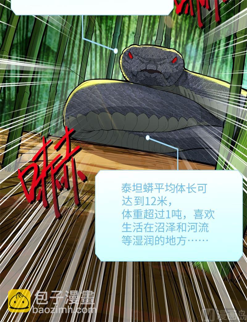 041 竹林泰坦44