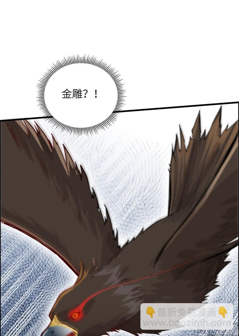 046 天降金雕39
