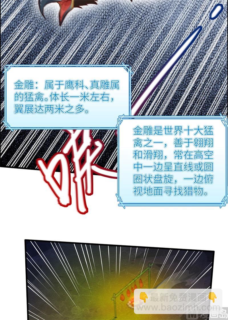 046 天降金雕40