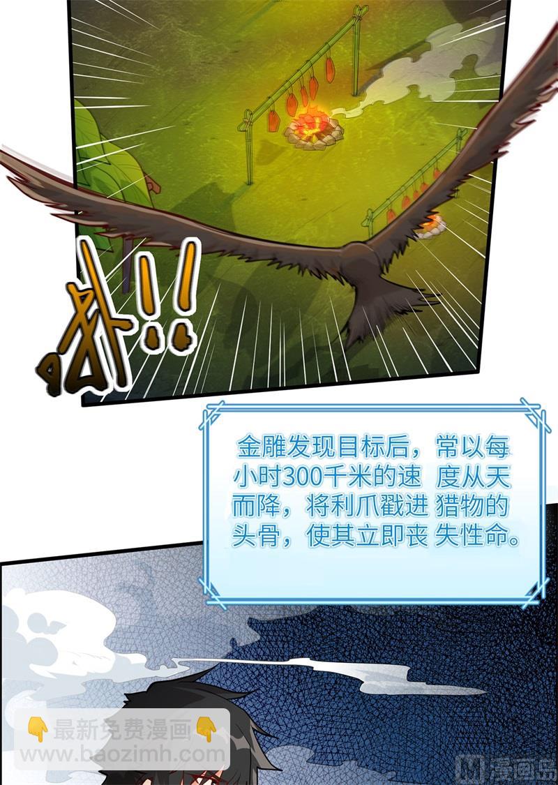 046 天降金雕41