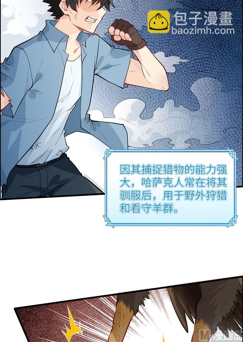 046 天降金雕42