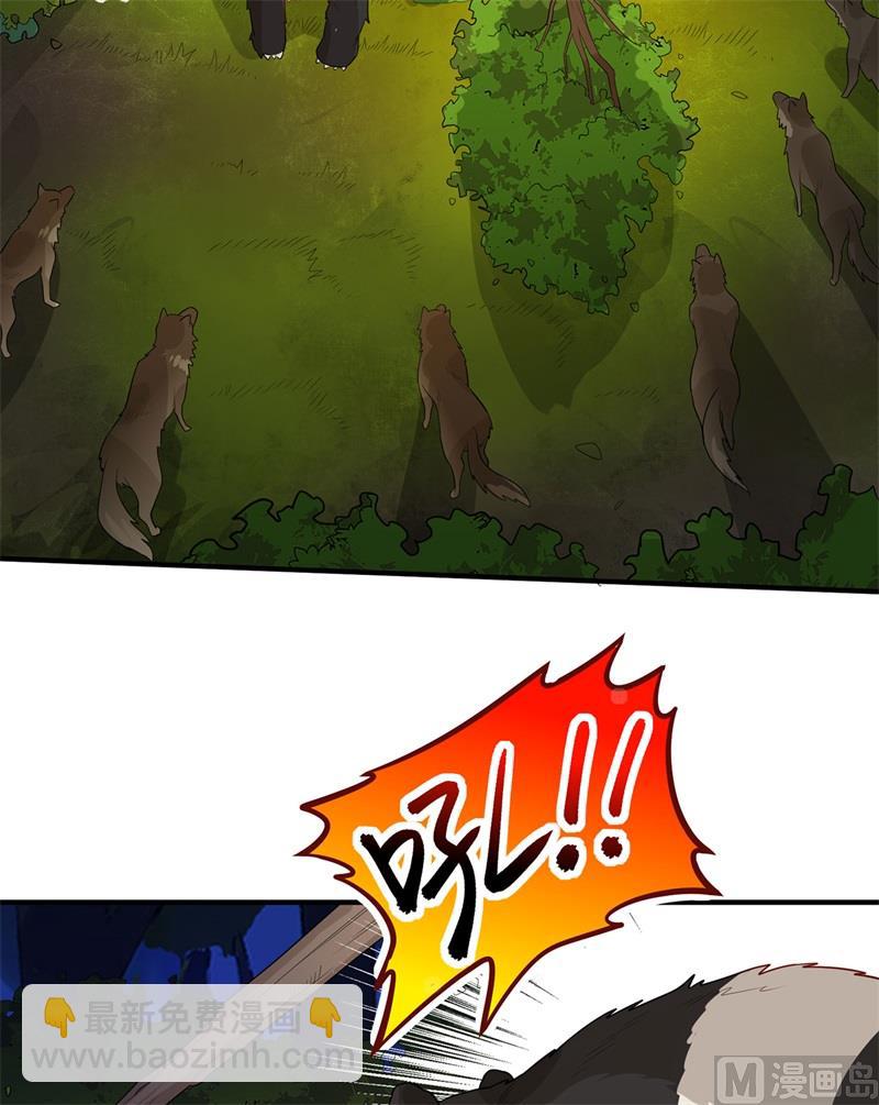 049 夜遇狼群39