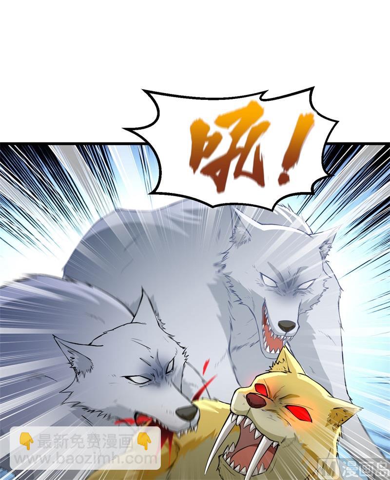 101 群狼斗虎27
